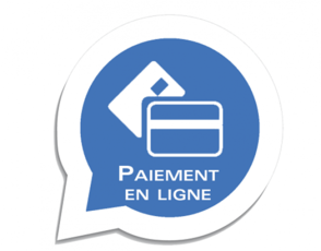 icône paiement en ligne