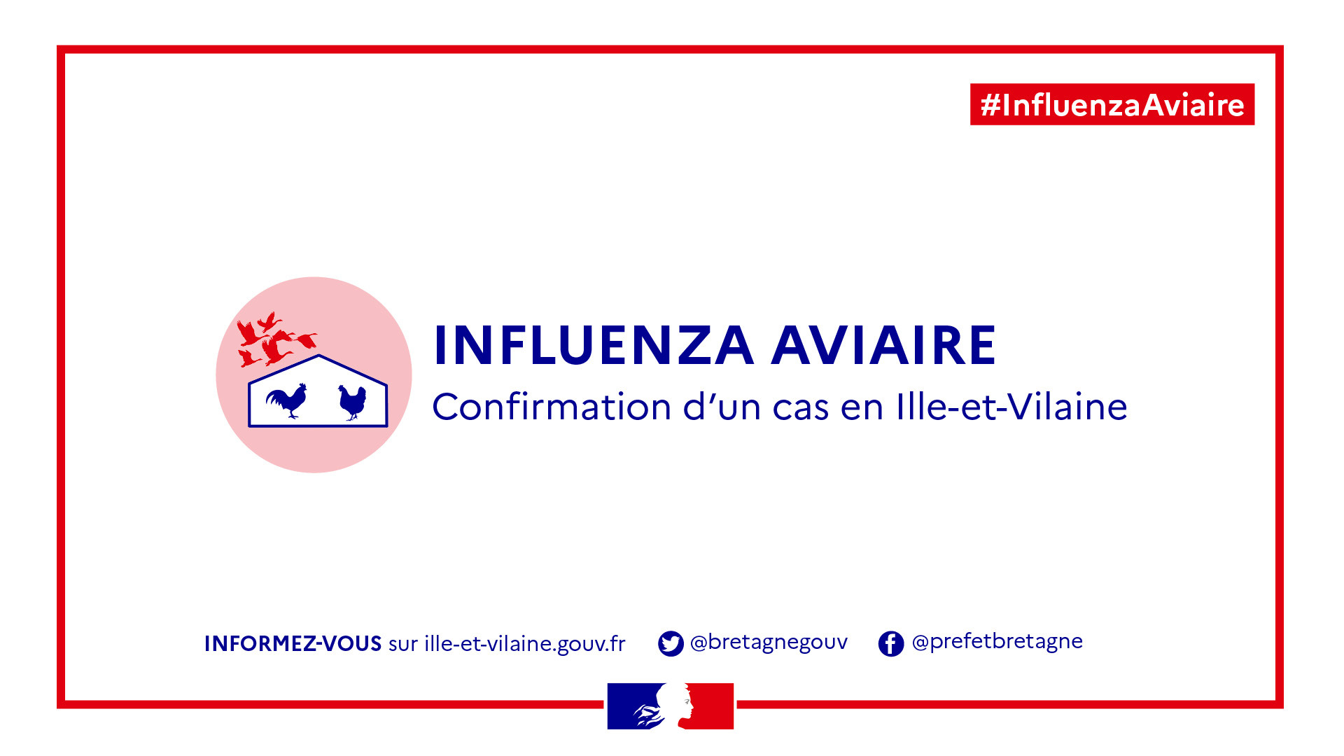 influenza23